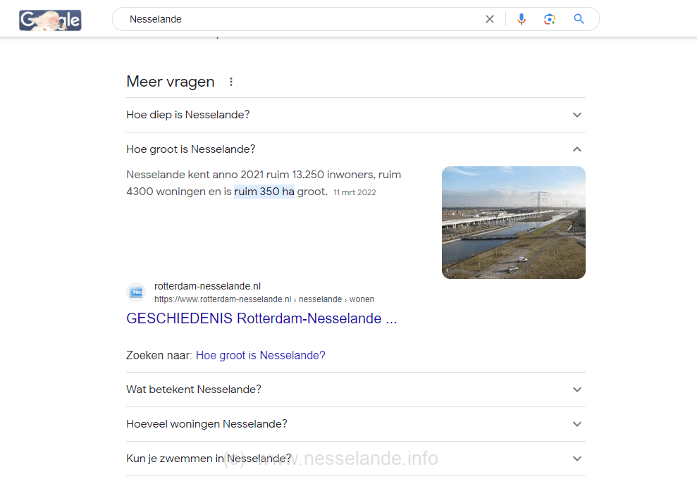 Nesselande.INFO is in Google de autoriteit die als FAQ dient