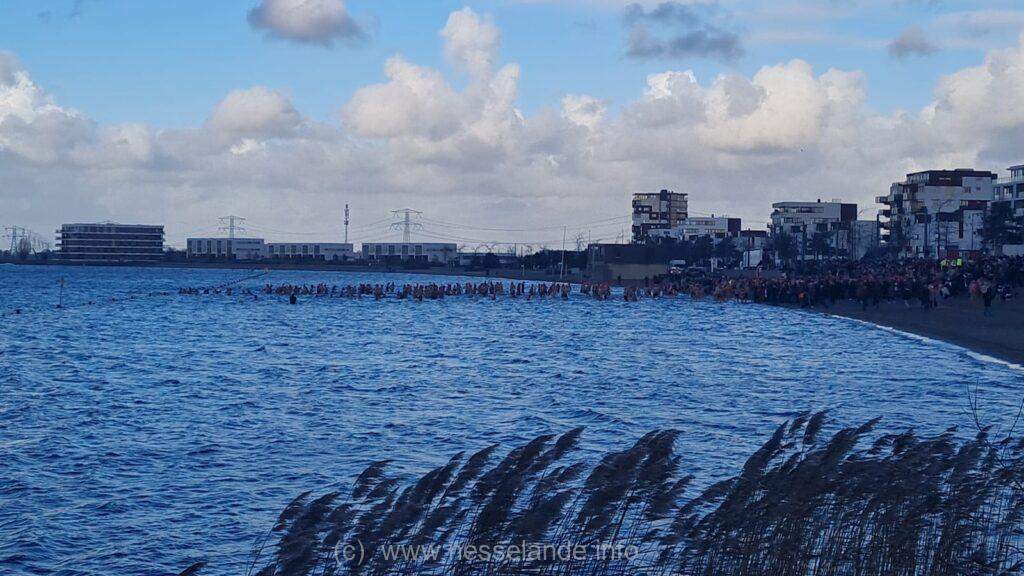 [VIDEO] UPDATE: Verslag 15e editie Nieuwjaarsduik Rotterdam-Nesselande #zevenhuizerplas