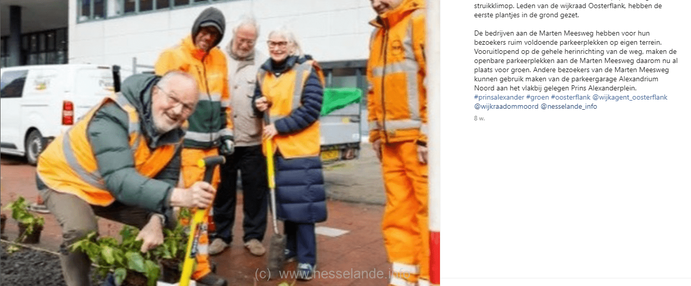 Sørensen van Leefbaar Rotterdam plant in Prins Alexander groen.