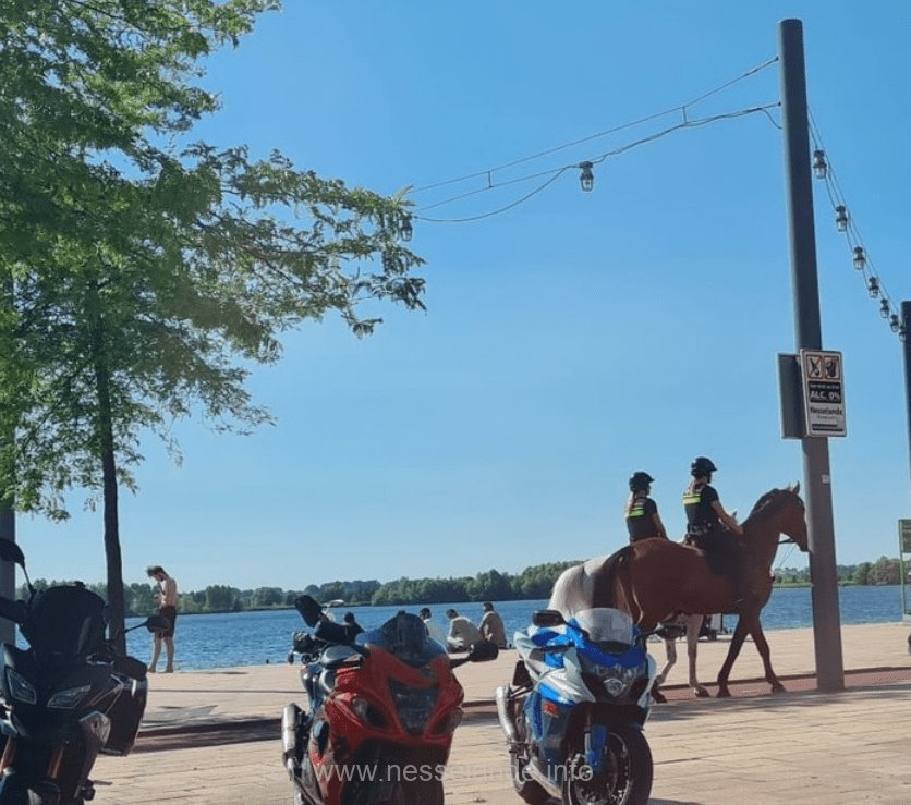 Politie te paard is regelmatig aanwezig op strand Nesselande op warme dagen om een handhavingsrode te doen