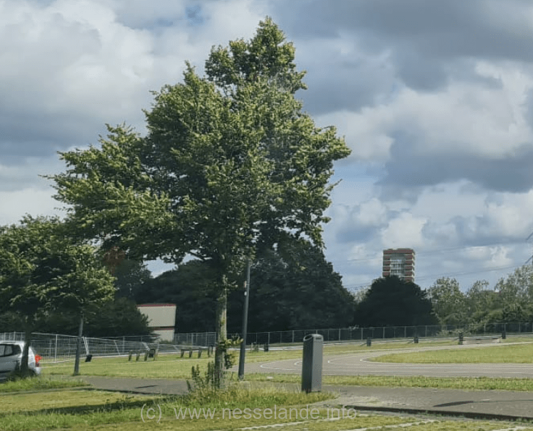 De parkeerplek (hekken rondom stuk groen) aan het Oeverpark vormen een gevaar.