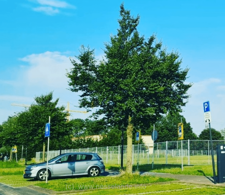 Er wordt tegen de in- en uitgang geparkeerd, diepe kuilen in het gras, hekken vallen om, bewegwijzering valt om.