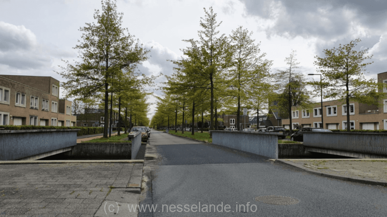 https://www.rotterdam-nesselande.nl/nieuws/zuidplas/rotterdam/nesselande/wonen/diverse-autos-geramd-op-laan-van-avant-garde-nesselande/