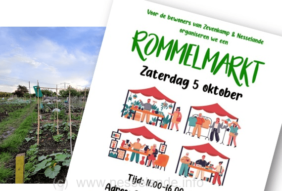 Rommelmarkt bij Nesselande